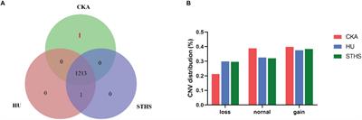 Integrating Genome-Wide CNVs Into QTLs and High Confidence GWAScore Regions Identified Positional Candidates for Sheep Economic Traits